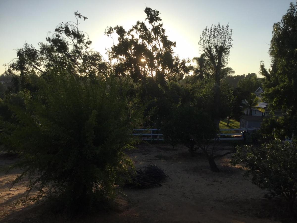 פולברוק Beautiful New Detached Casita Nestled In Scenic Southern Ca Foothills! מראה חיצוני תמונה