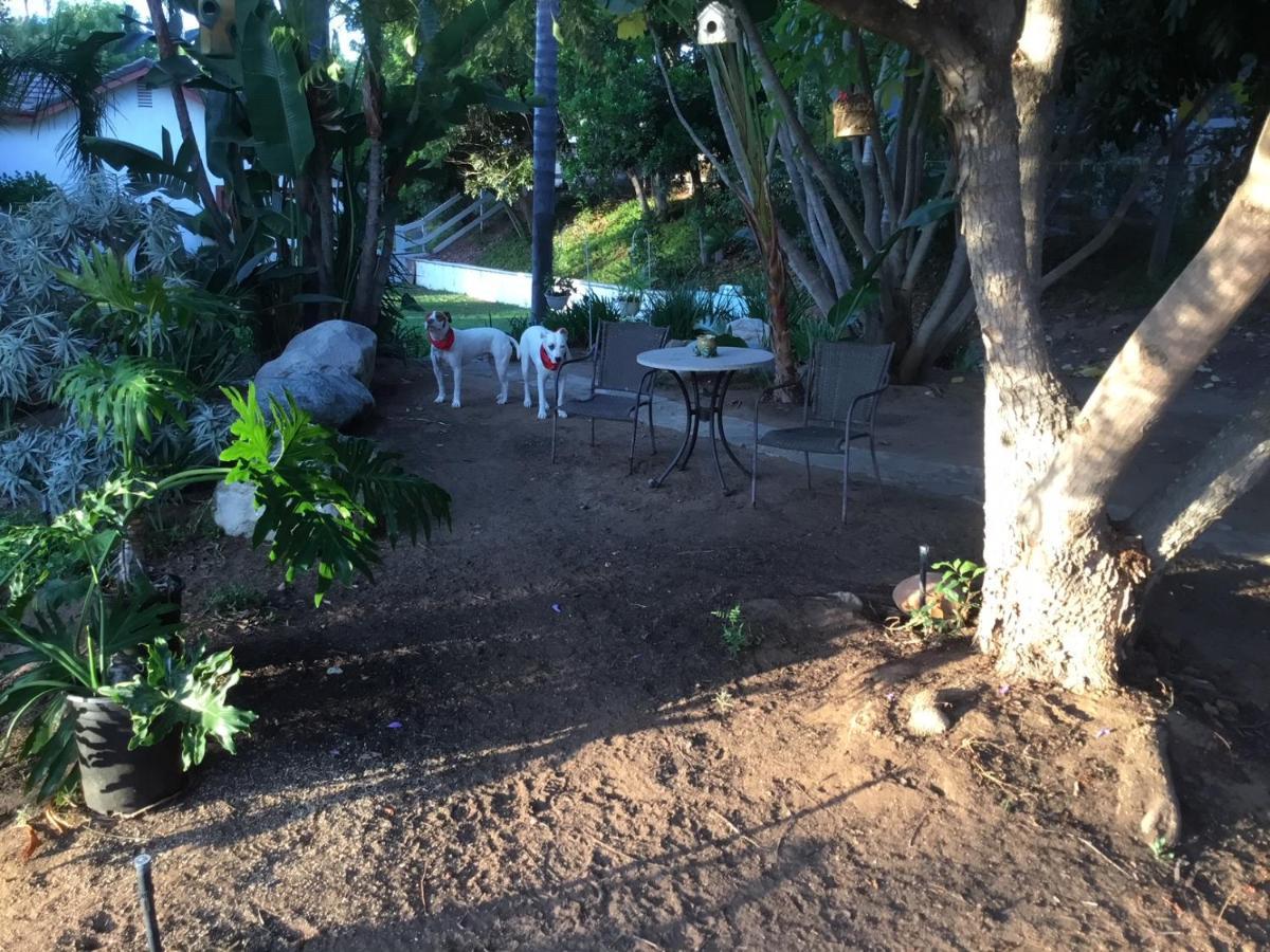 פולברוק Beautiful New Detached Casita Nestled In Scenic Southern Ca Foothills! מראה חיצוני תמונה
