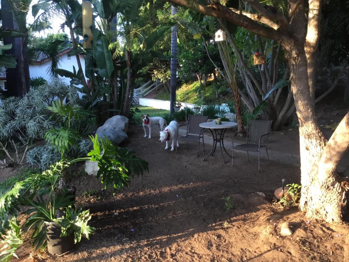 פולברוק Beautiful New Detached Casita Nestled In Scenic Southern Ca Foothills! מראה חיצוני תמונה