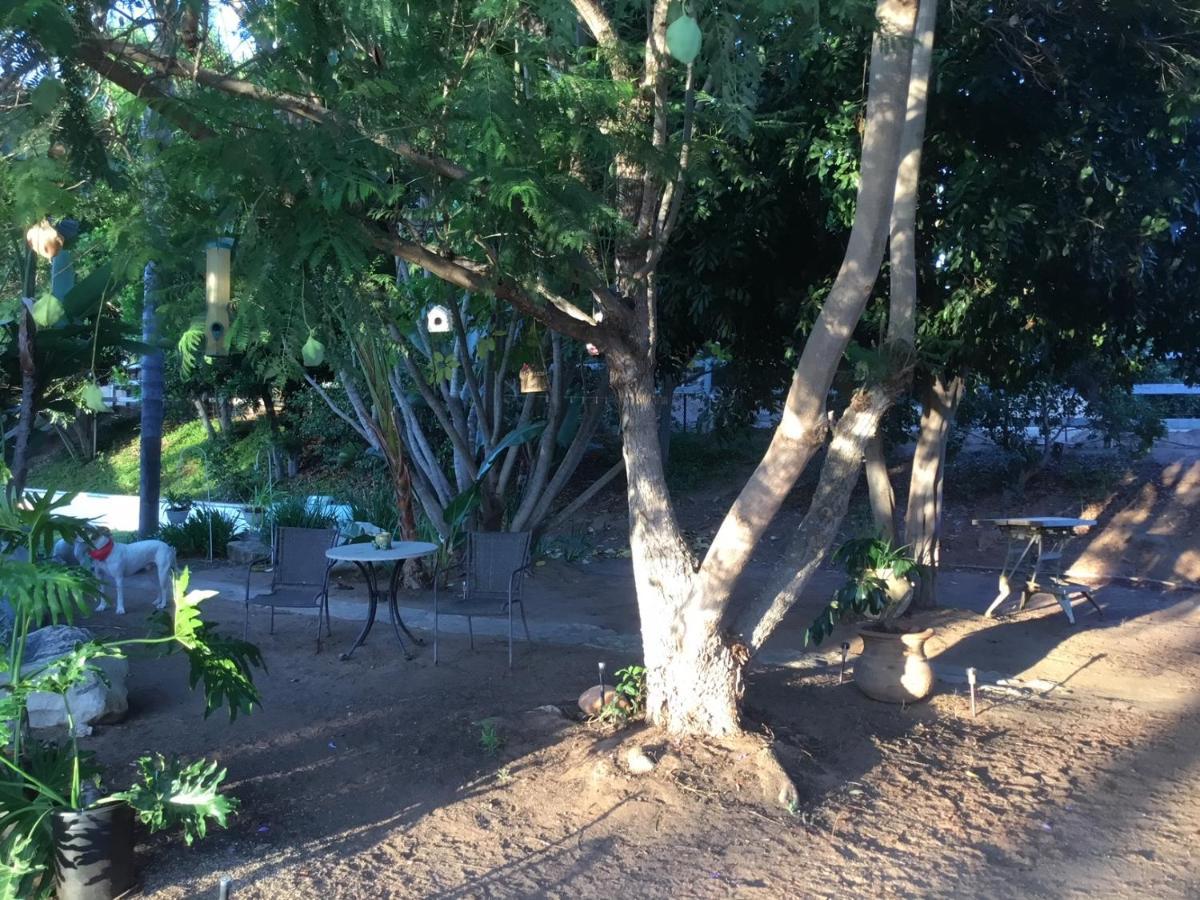 פולברוק Beautiful New Detached Casita Nestled In Scenic Southern Ca Foothills! מראה חיצוני תמונה